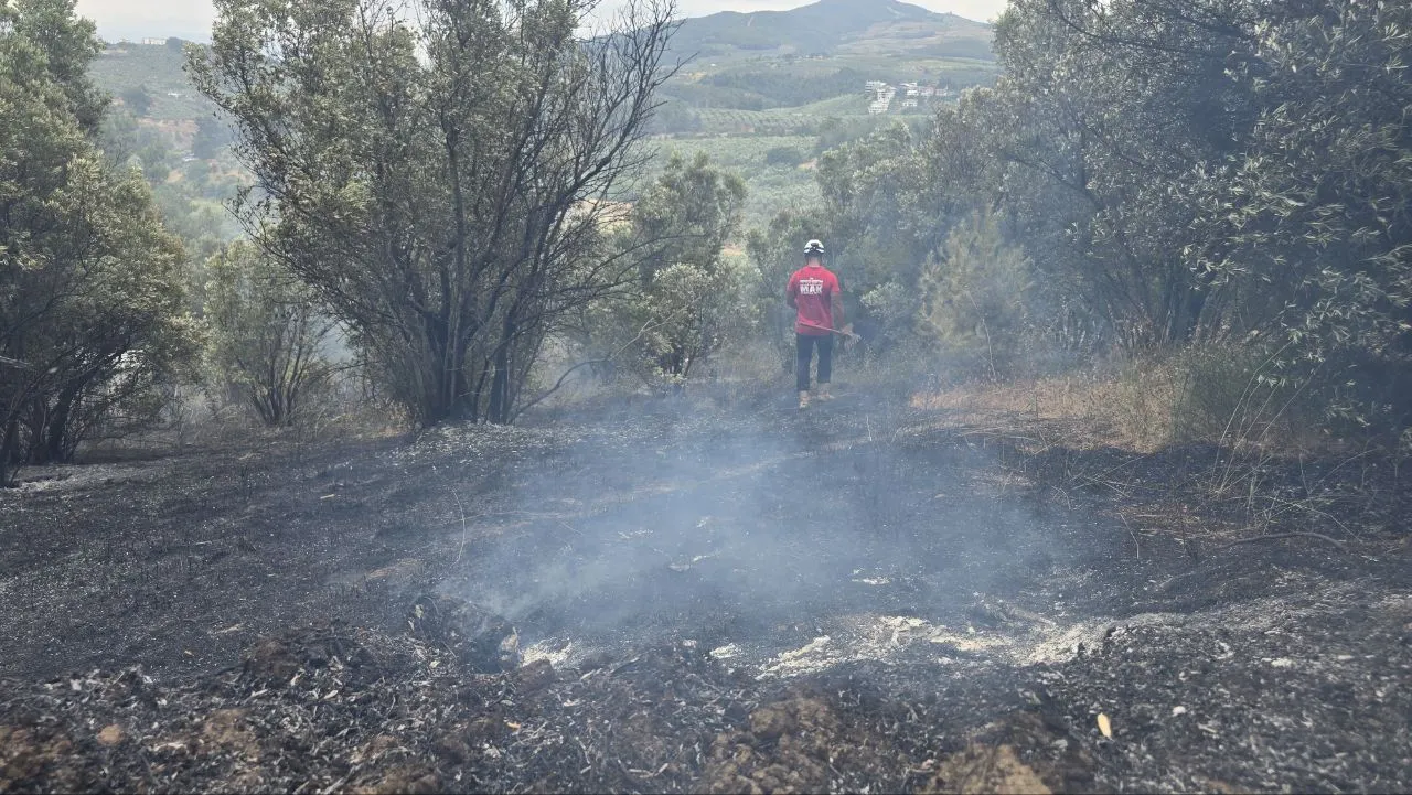 Mudanya'da bahçeden sıçrayan alevler dört dönümü küle çevirdi