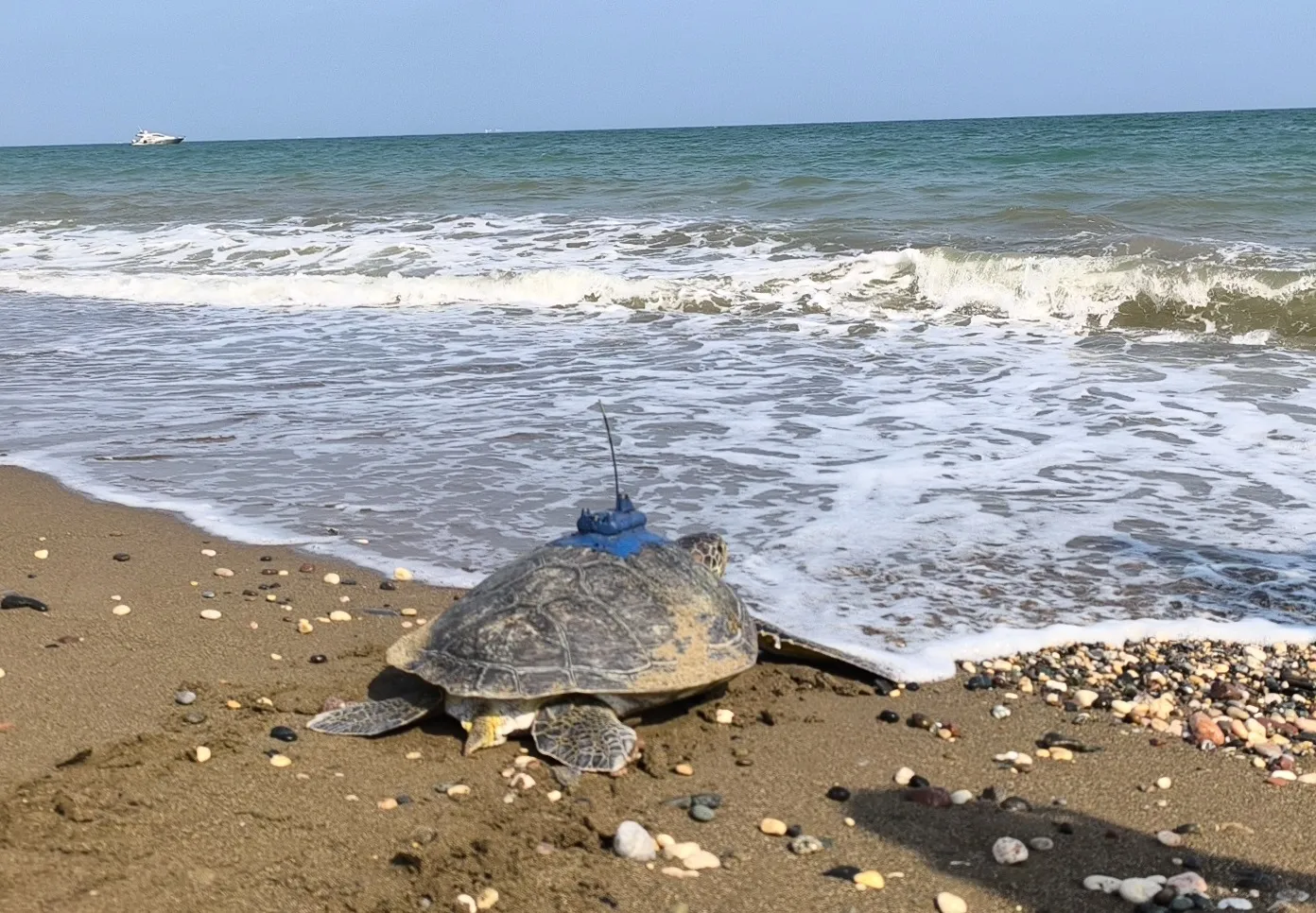Mersin ve Göksu artık uydudan takip edilecek