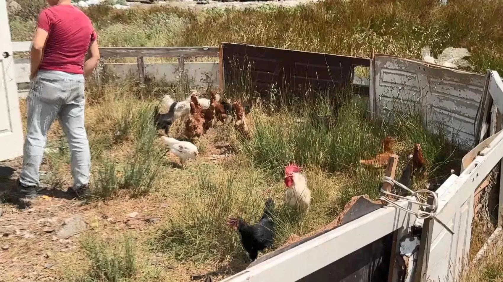 Avcılar'da kaçak yapı operasyonu