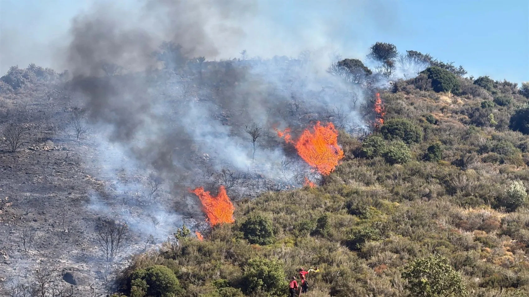 Bodrum’da makilik alanda yükselen alevlere havadan ve karadan müdahale sürüyor