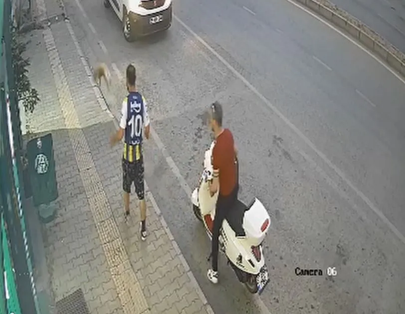 Samsun'da bir kişi kaldırımda yürüyen kediye tekme attı