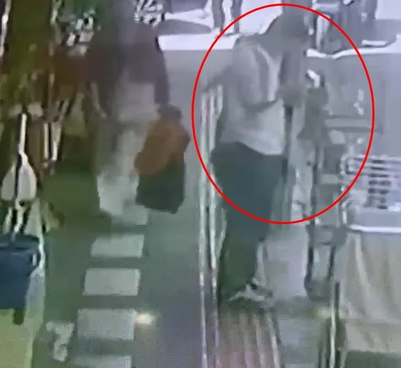 Kızıltepe'de kafes hırsızlığı Papağanı böyle çaldılar