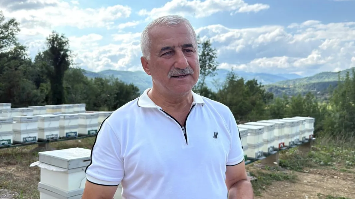 Avrupa tescilli Yenice ıhlamur balında sezon başladı