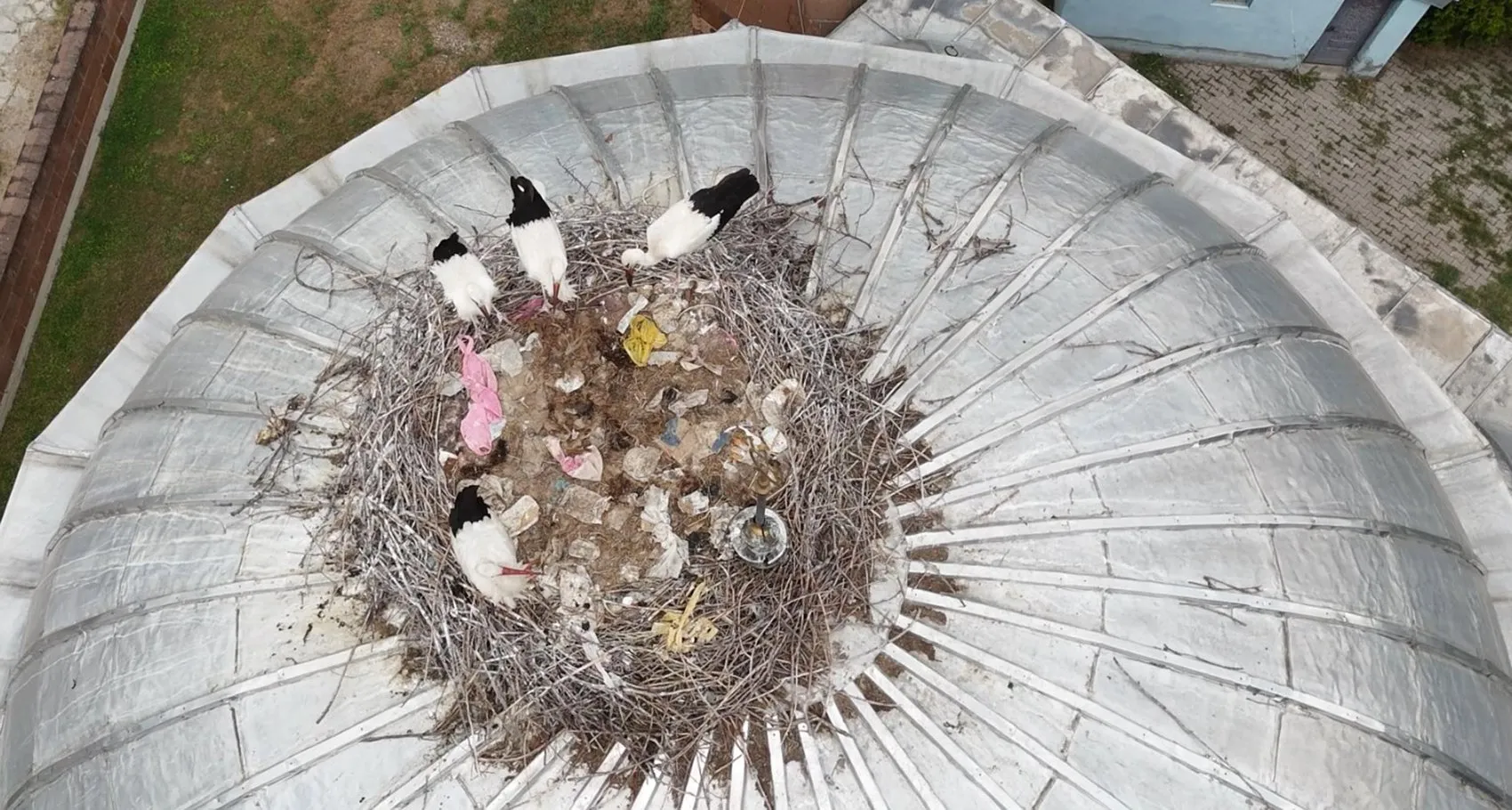 Patnos’un beklediği misafirler aylarca gecikmeli geldi