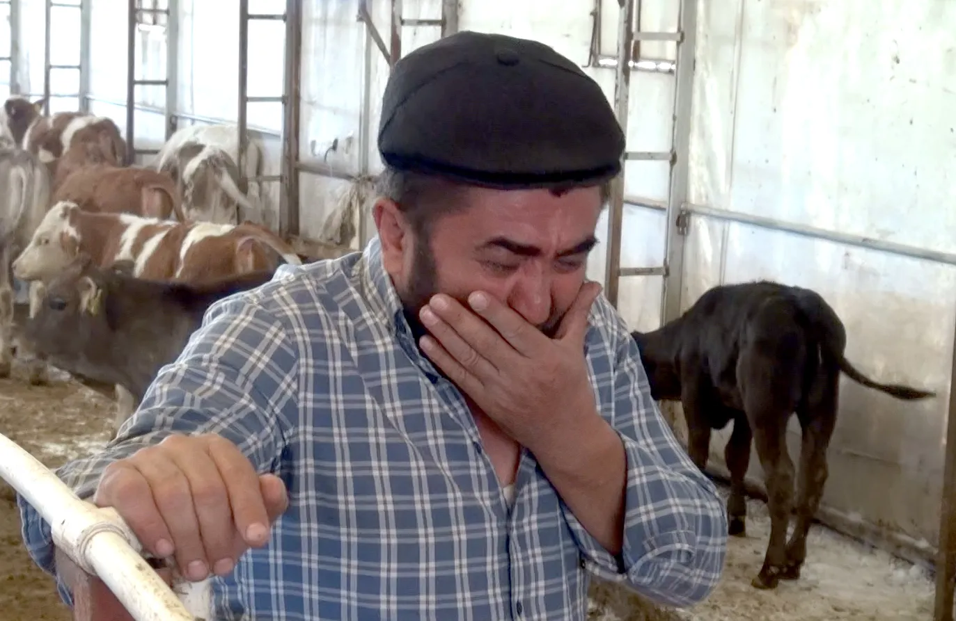 Sivas'ta mangal kömürü dumanı hayvancılığı bitirdi
