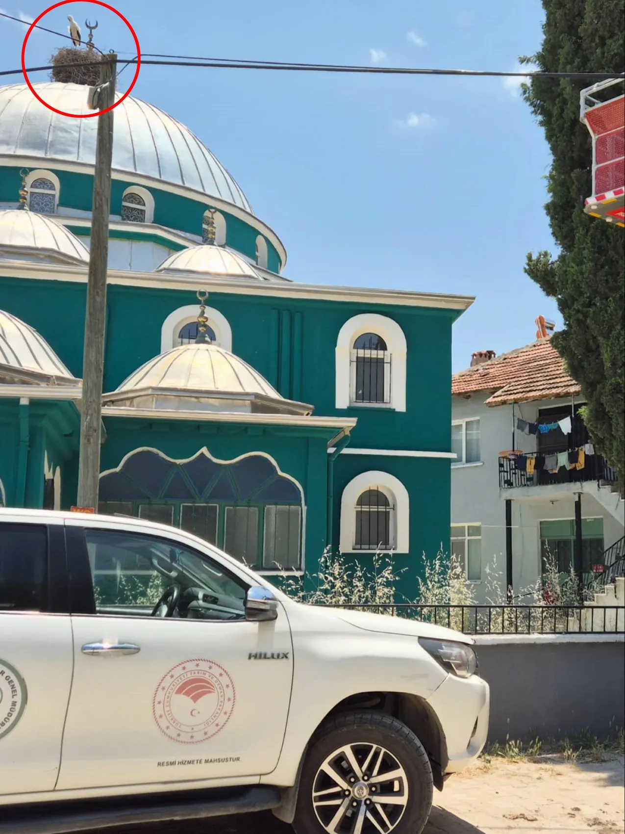 Dinar’da leylek yuvasında can pazarı
