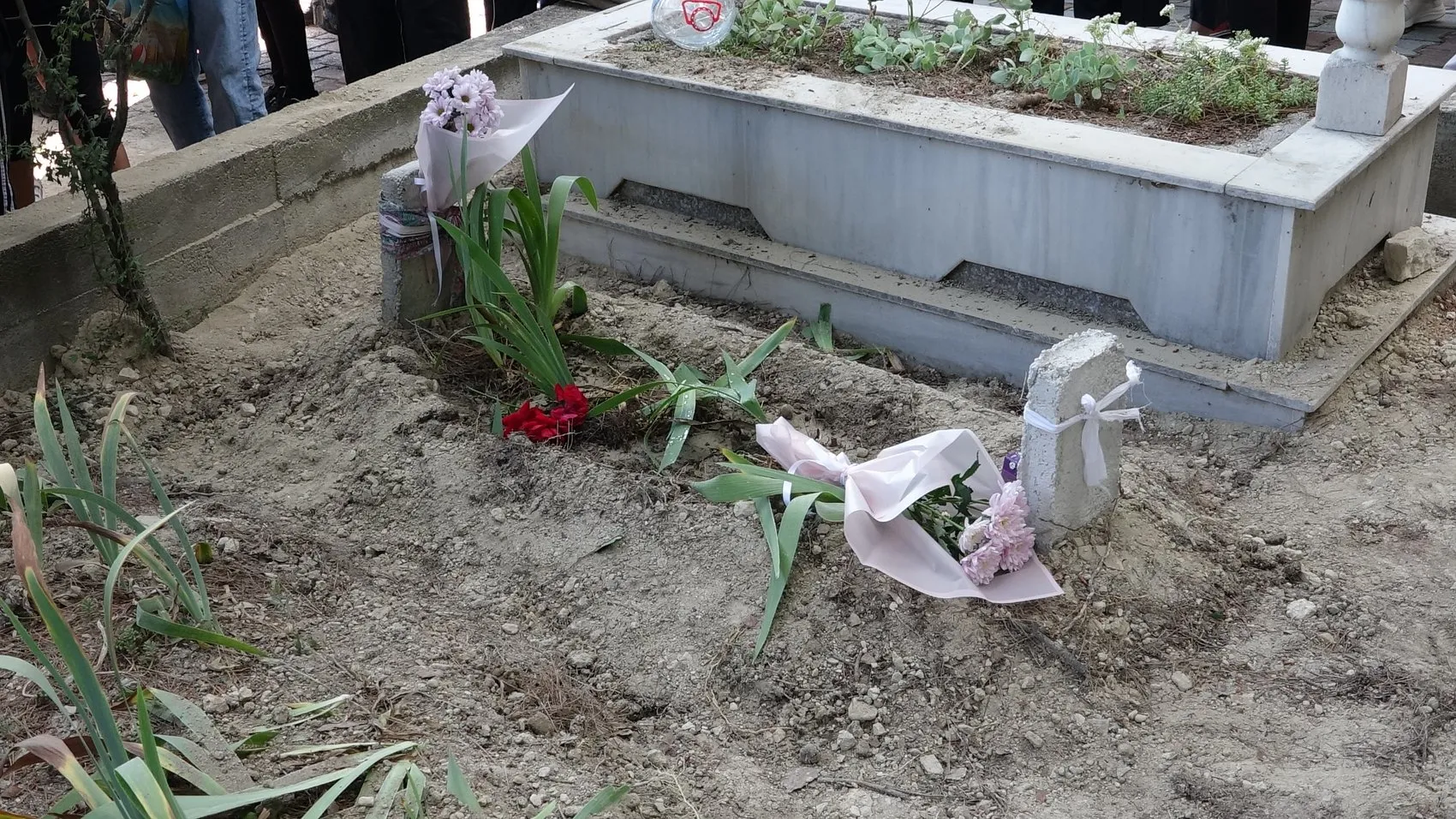 7 yaşındaki Ela diş tedavisi sırasında hayatını kaybetti