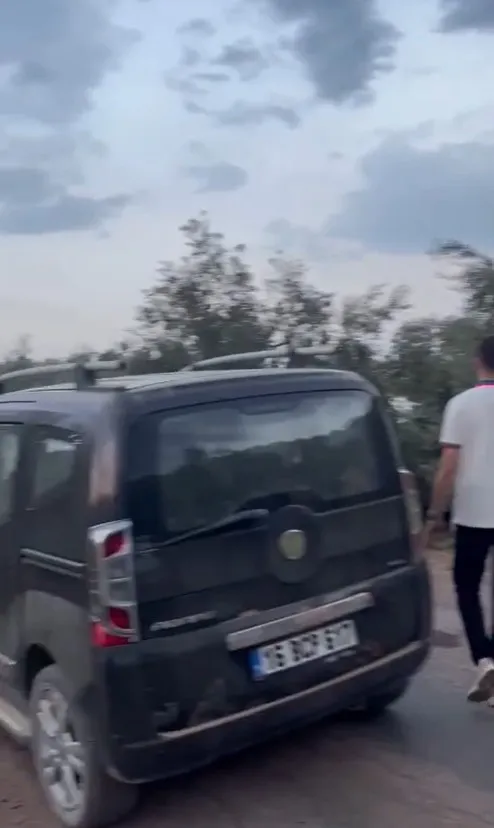 Orhangazi'de yamaç paraşütçüleri zeytin ağacına takıldı