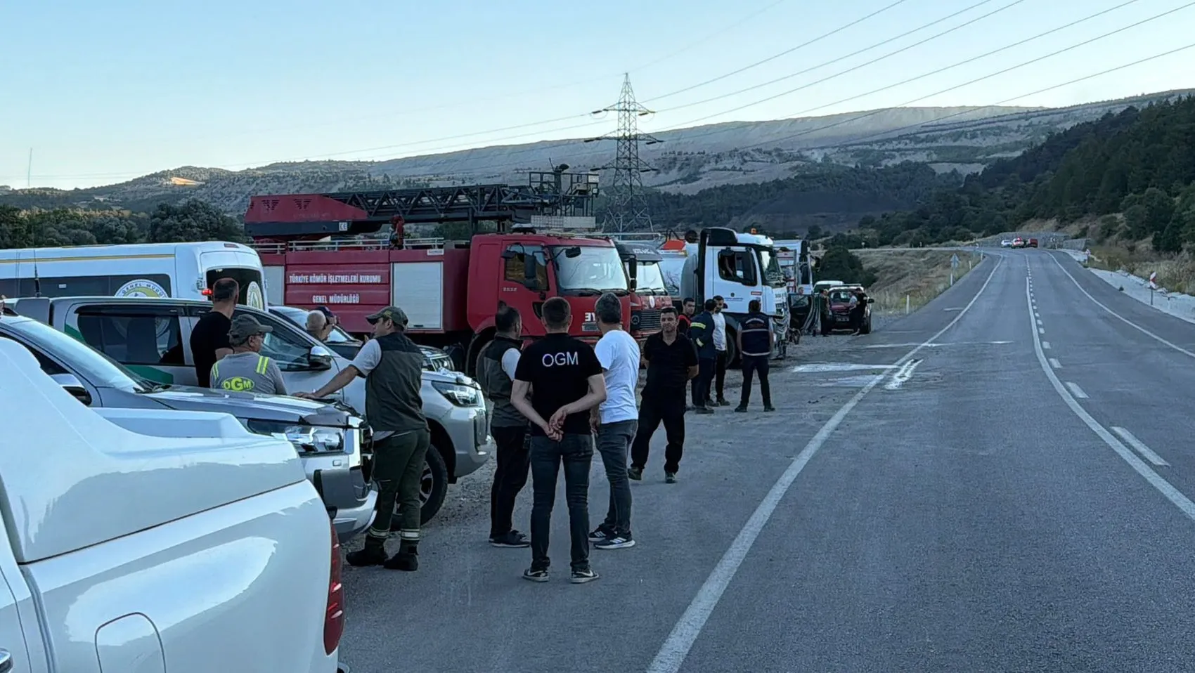 Domaniç ormanlarındaki yangın ekiplerin müdahalesiyle söndürüldü