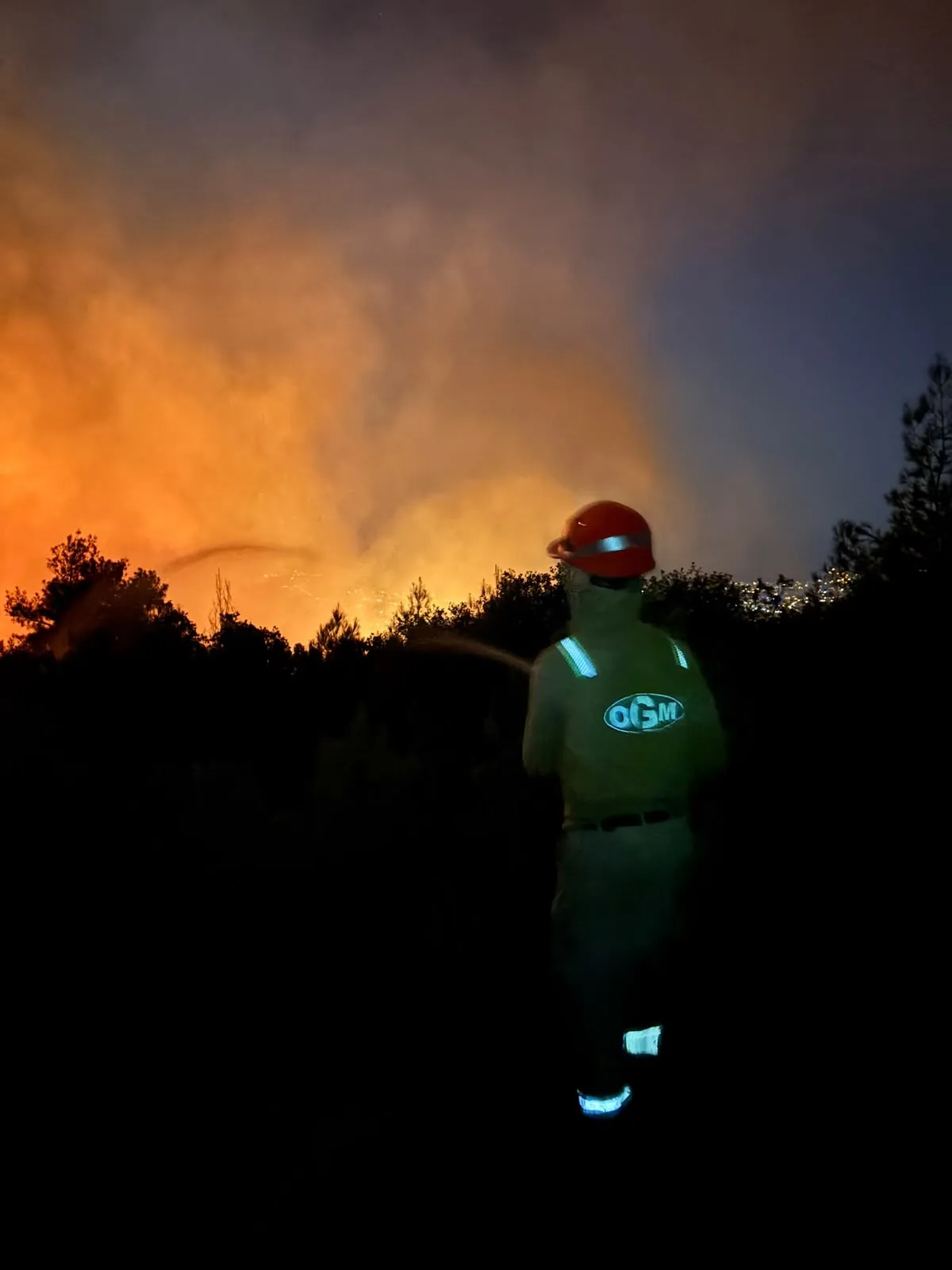 Kaş orman yangınıyla mücadele ikinci gününde devam ediyor