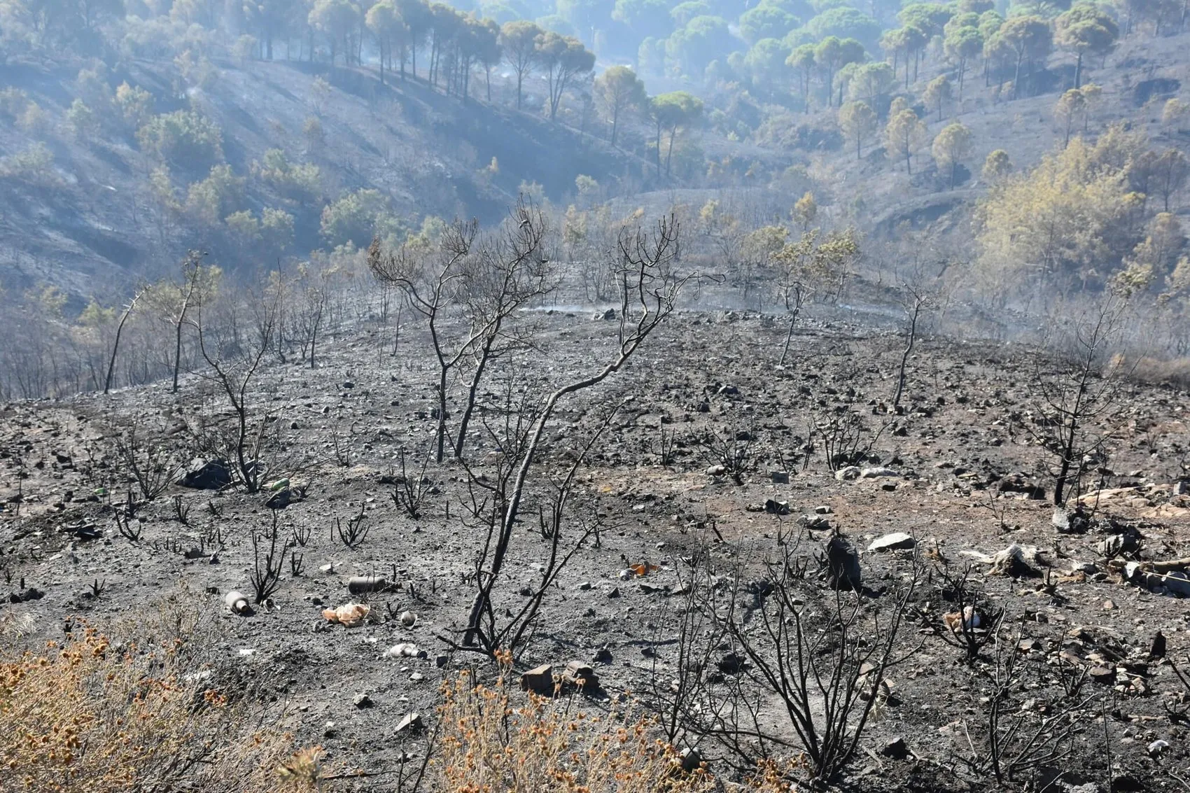 Balıkesir Gömeç ormanlarında alevlerle mücadele üçüncü gününde sürüyor