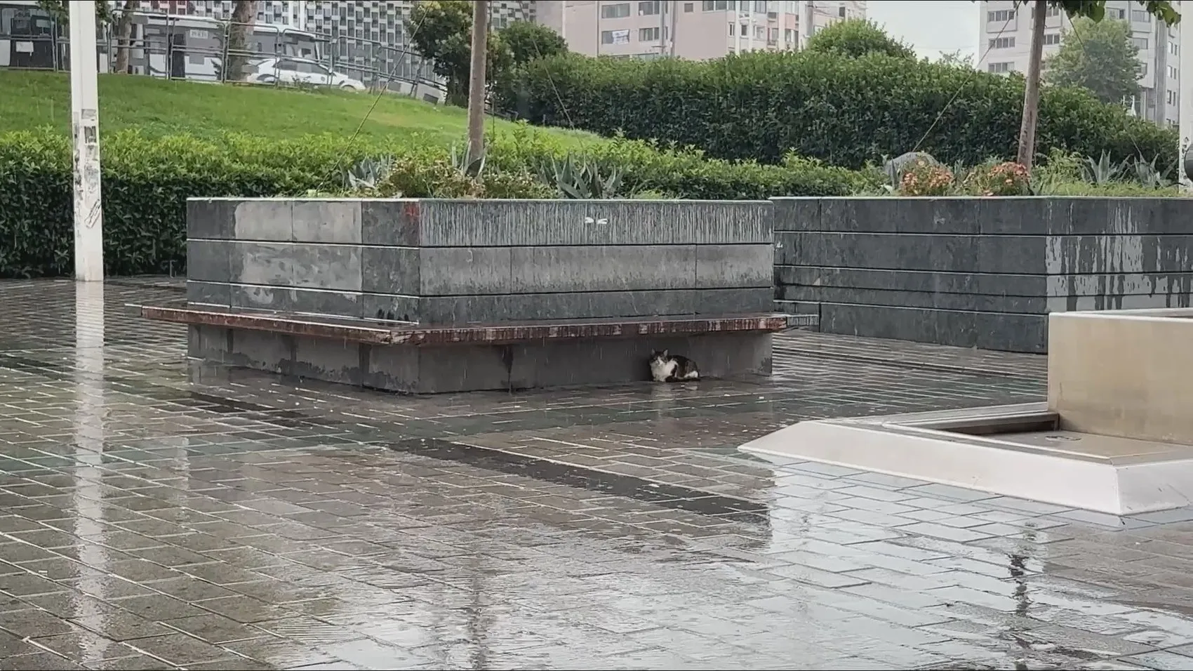 Taksim’de güne yağmurla başladık