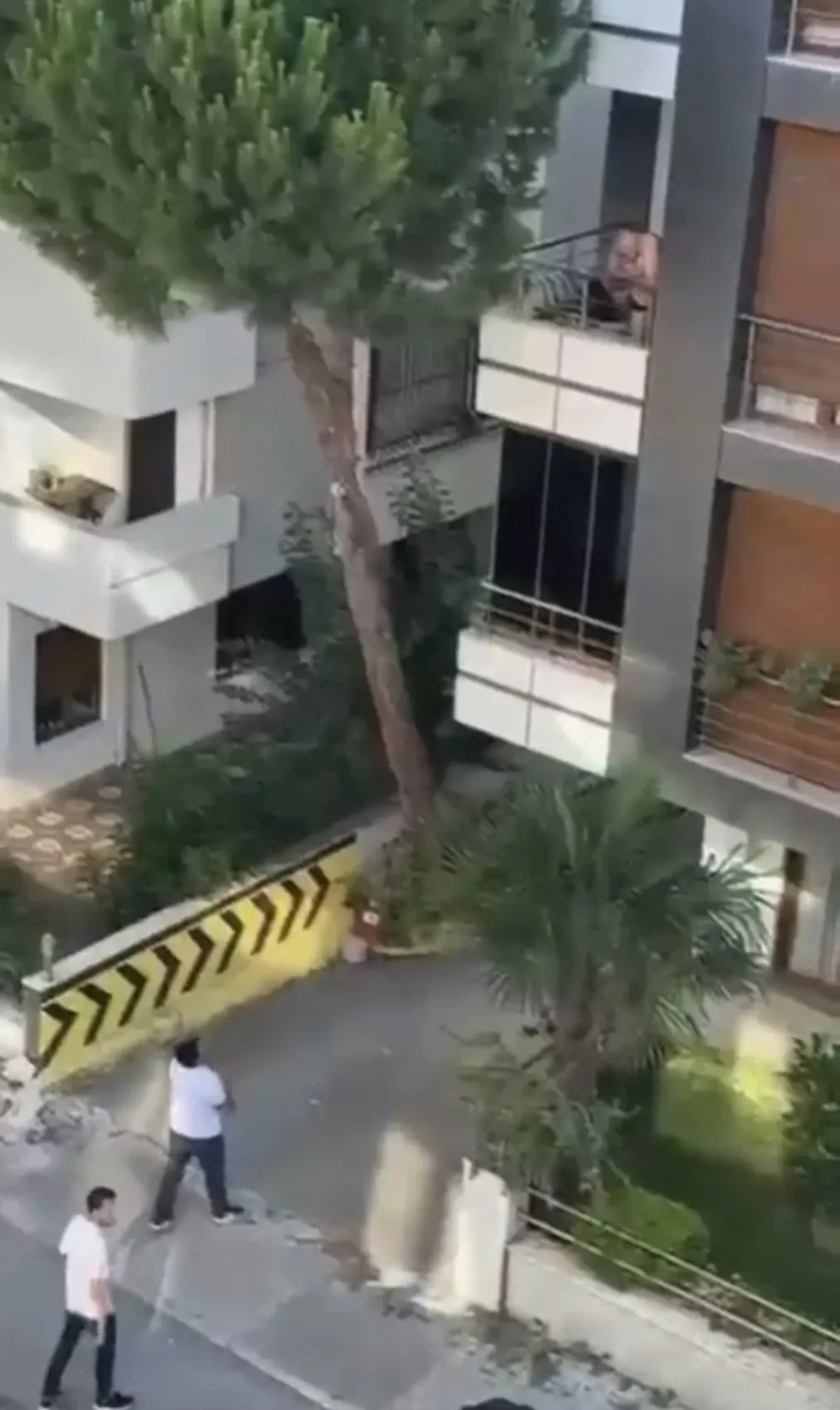 Maltepe'de mahalleli şiddet şüphesiyle sokağa döküldü