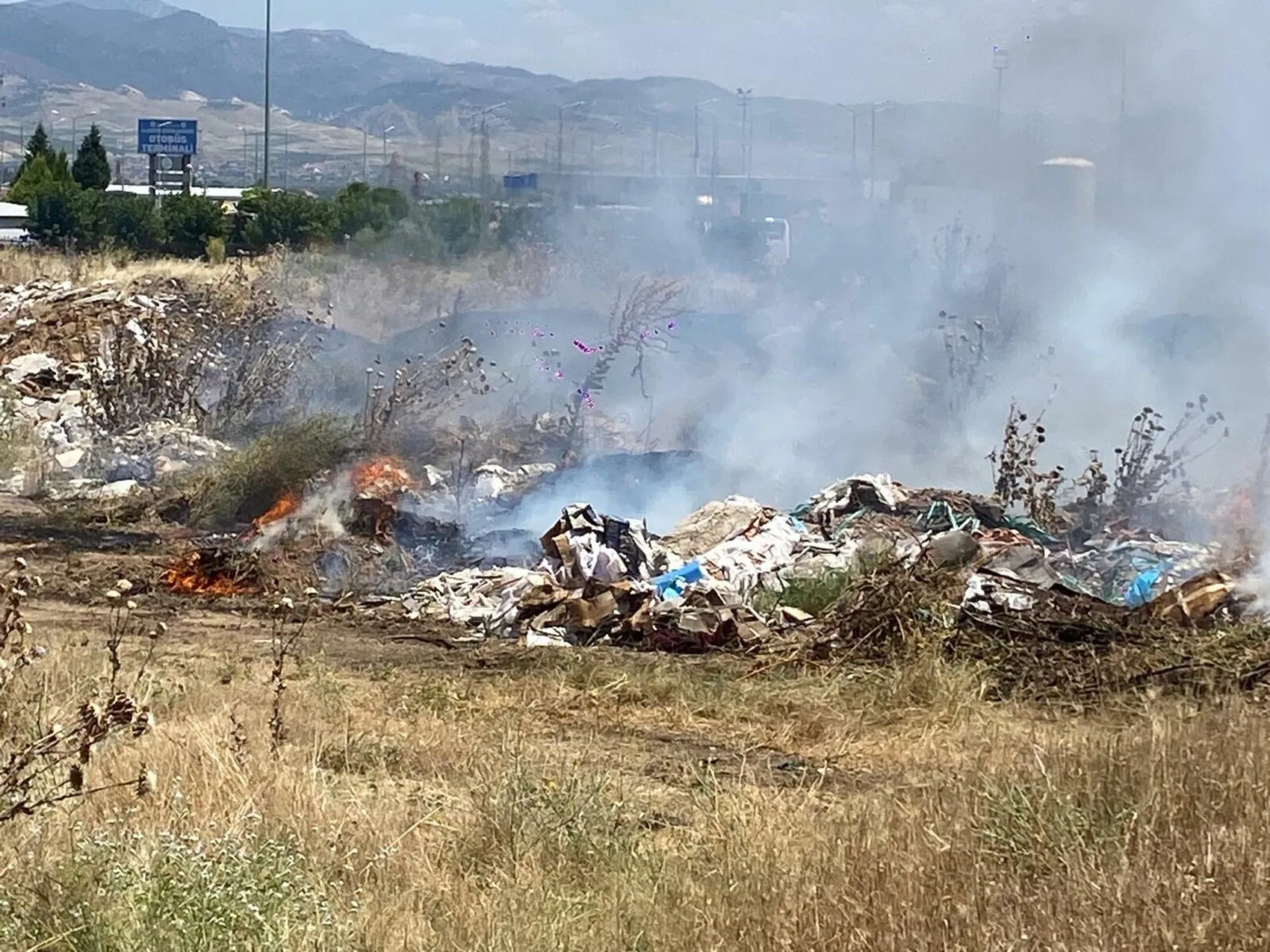 Manisa Alaşehir’de ot yangını paniği