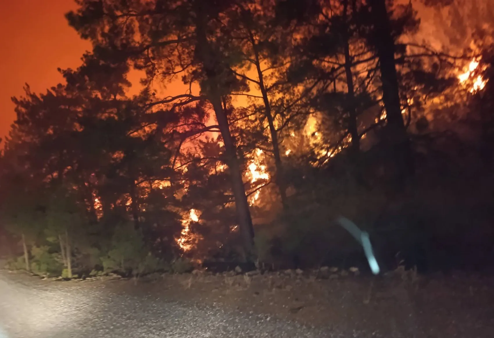 Alanya'da orman yangını yerleşim yerlerine ulaştı