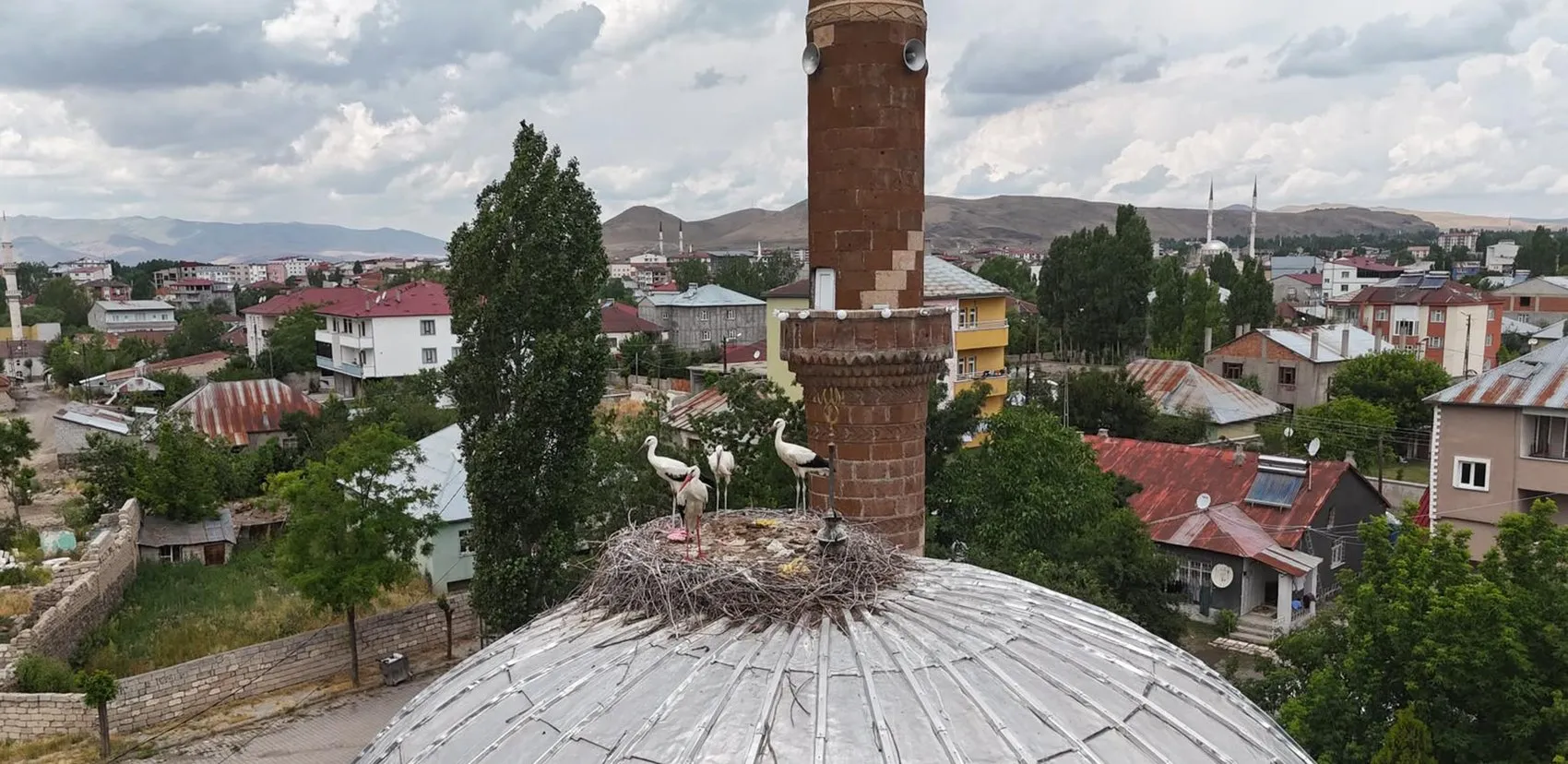 Patnos’un beklediği misafirler aylarca gecikmeli geldi