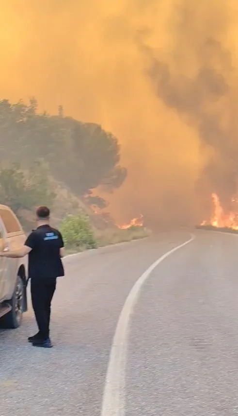 Susurluk'ta orman yangını evlere yaklaştı