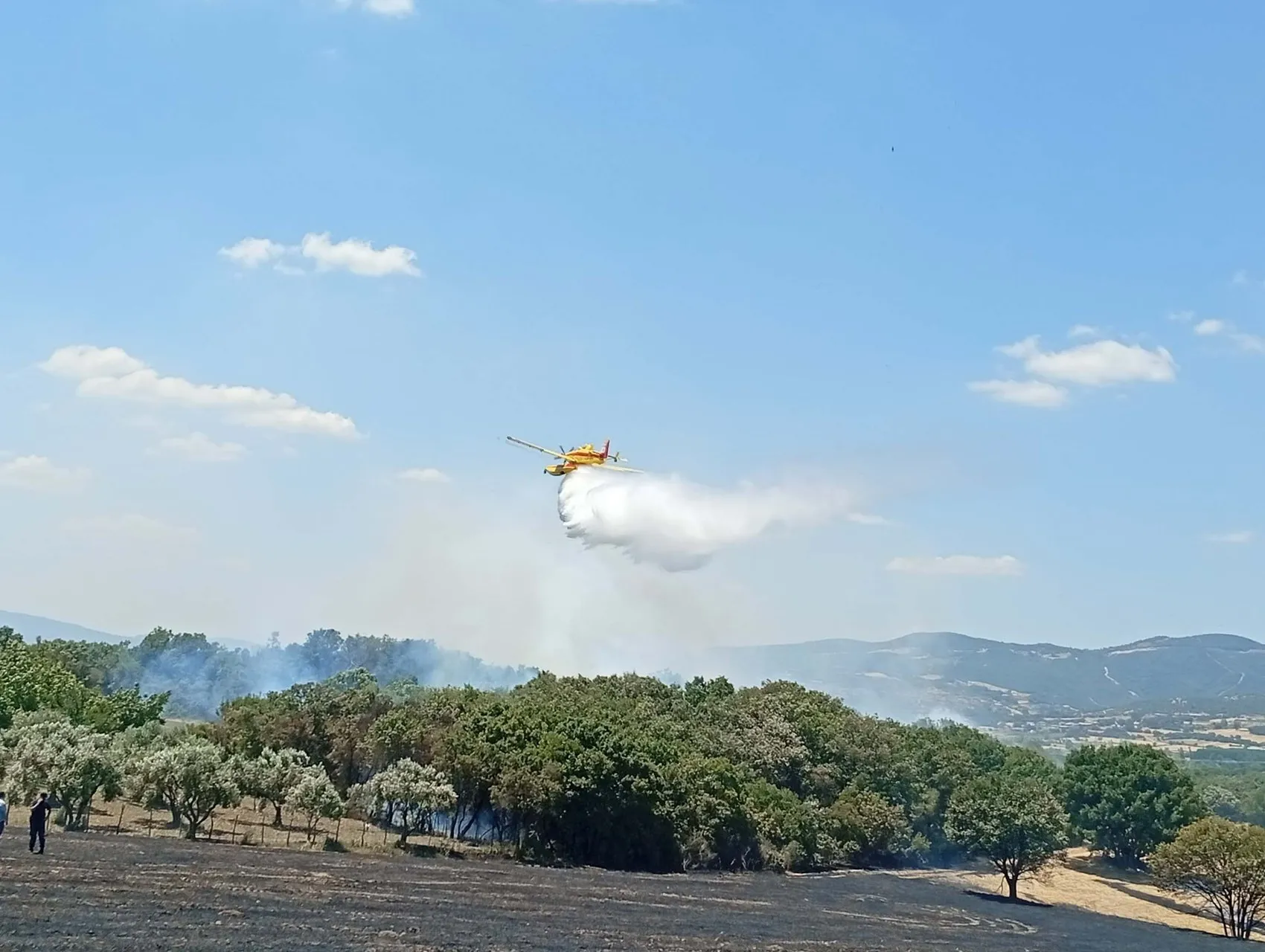 Balıkesir'de tarım arazilerini yakan kıvılcımlar kontrol altına alındı
