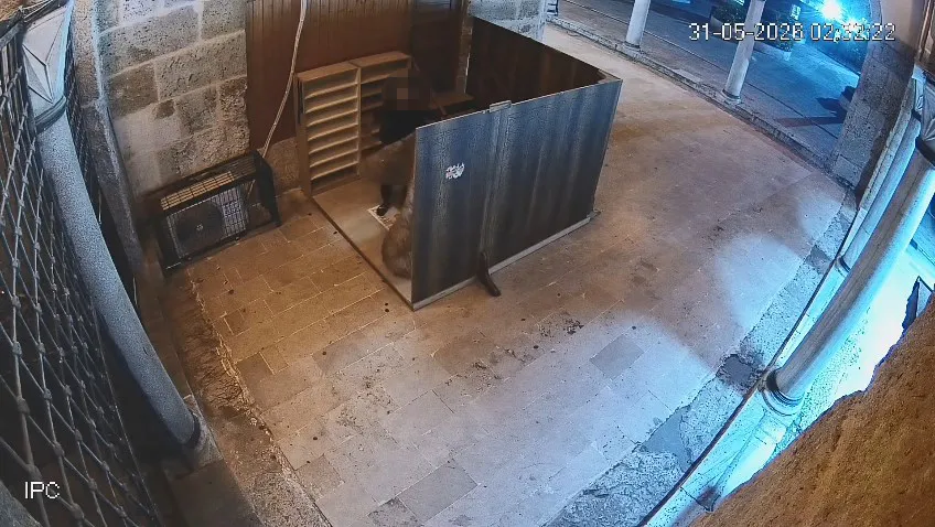 İzmit Yeni Cuma Camii'nde halı hırsızlığına tutuklama