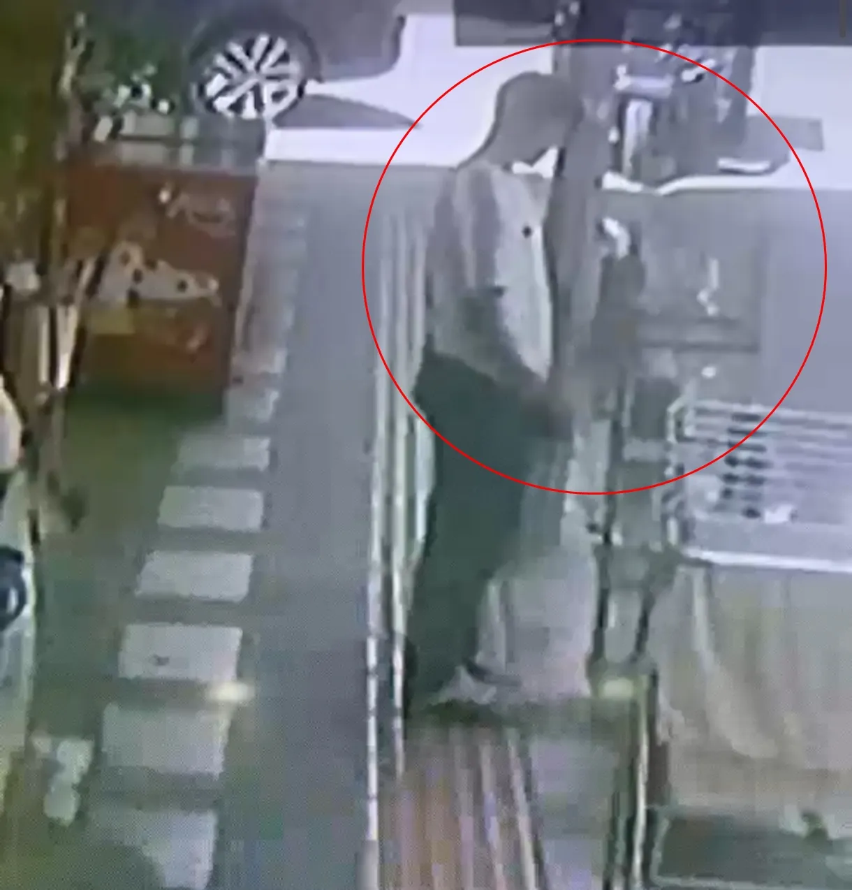 Kızıltepe'de kafes hırsızlığı Papağanı böyle çaldılar