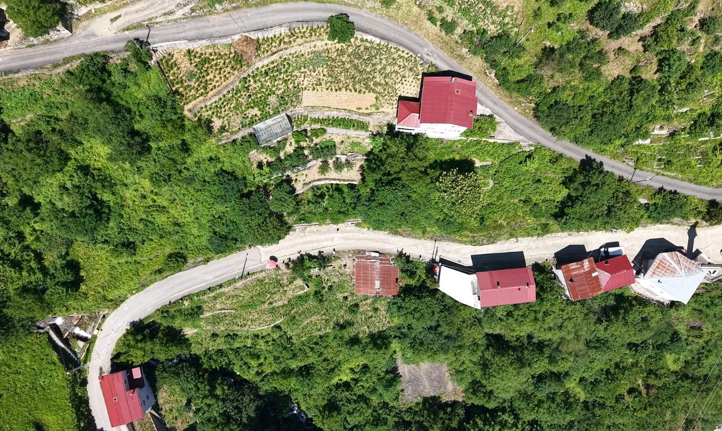 Trabzon Çaykara tarlaların eski bekçilerini turizme kazandırdı
