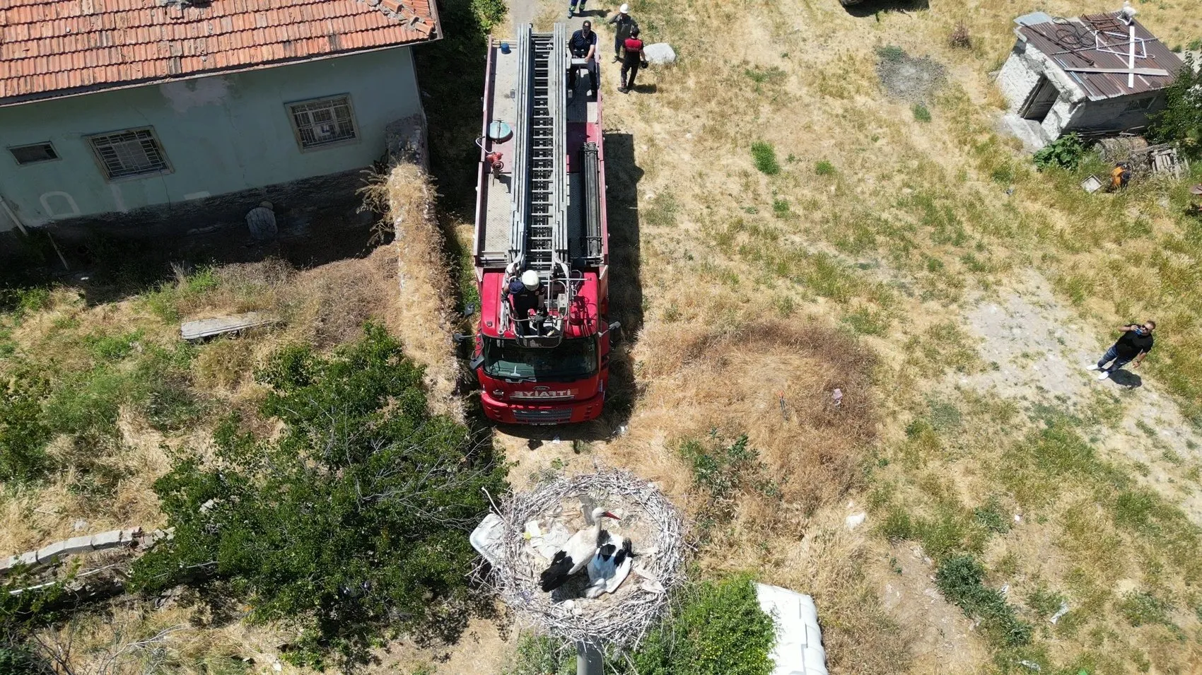 İp yumağına dönen yavru leyleği itfaiye kurtardı