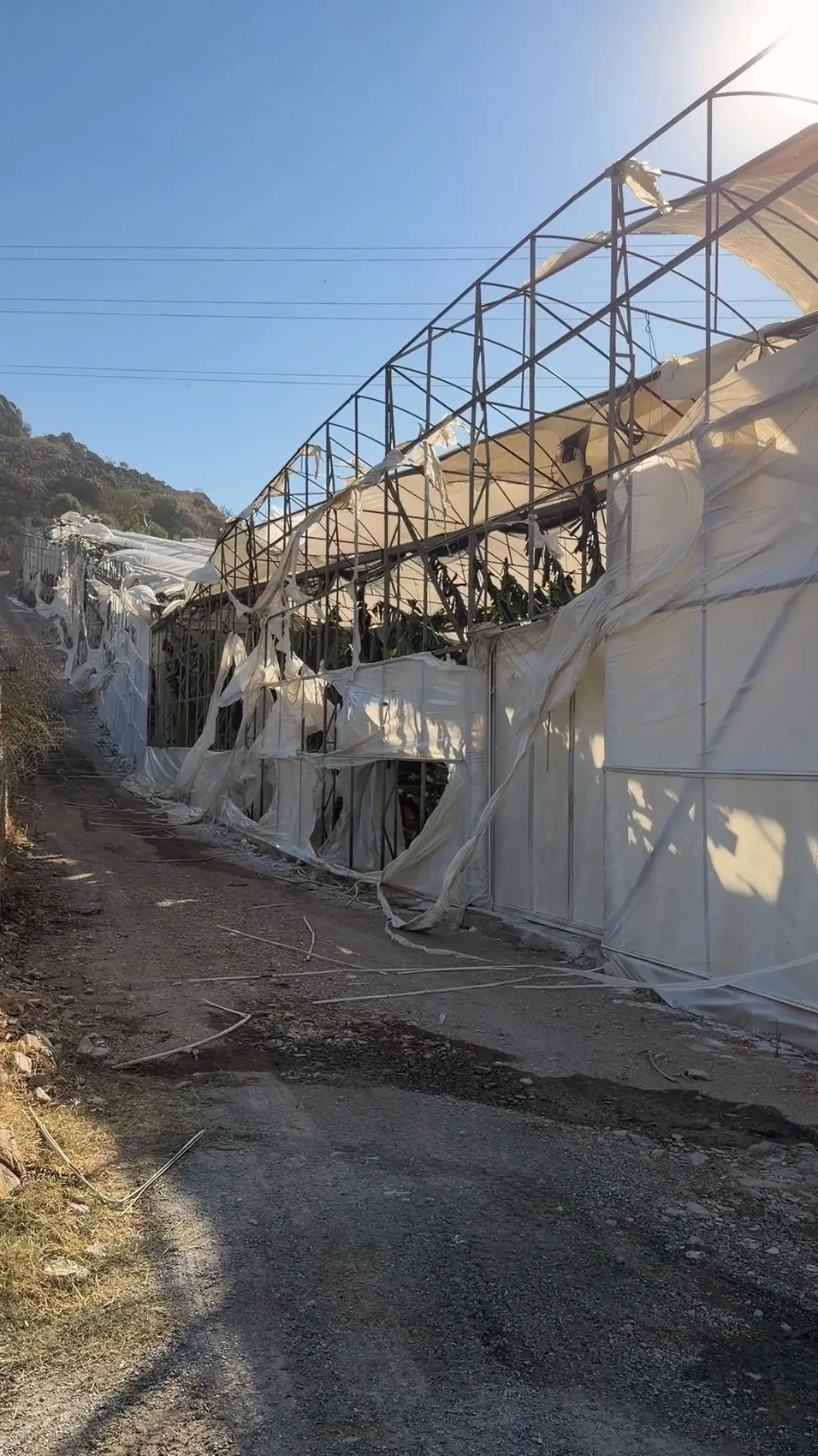 Antalya ormanları iki günde 12 farklı noktada alevlere teslim oldu
