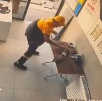Kayseri'de ofise giren kargayı kedi avından görevli kurtardı