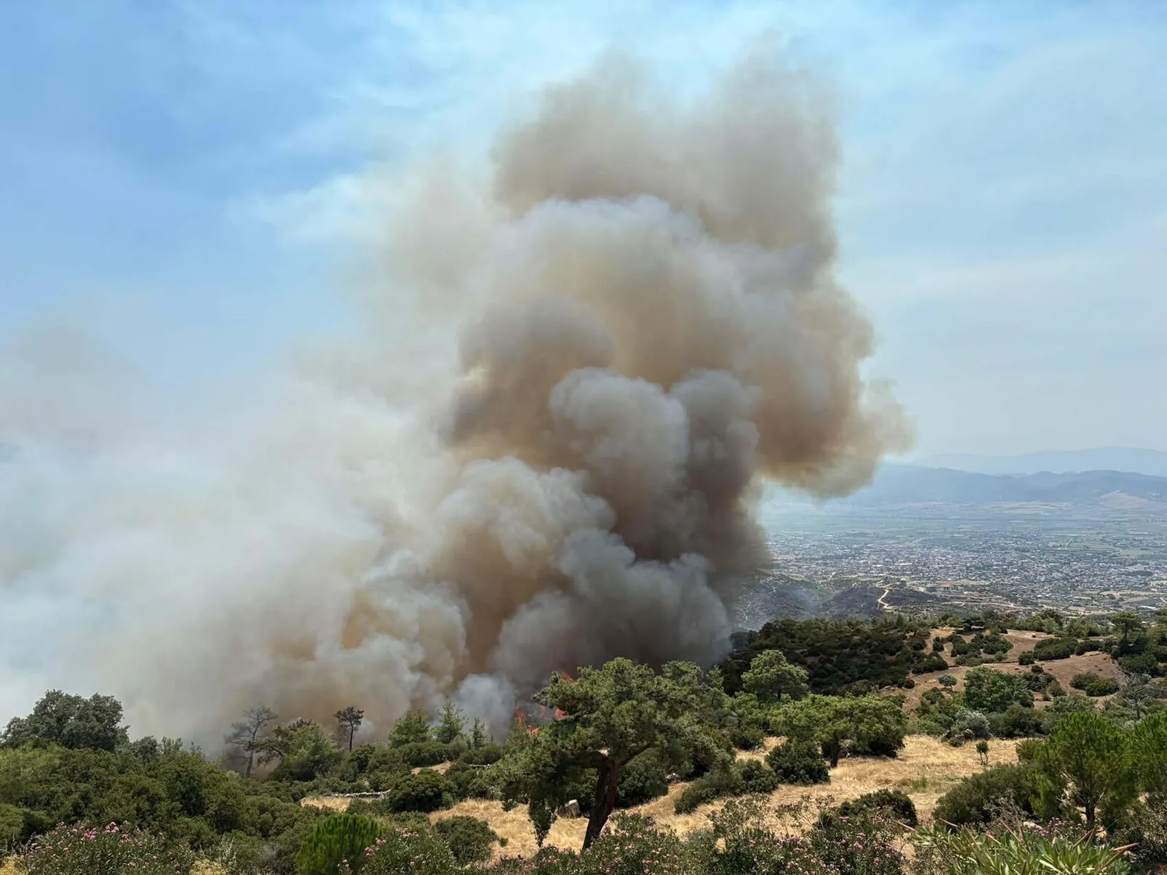 Çine orman yangınının sorumluları adalet önüne çıktı