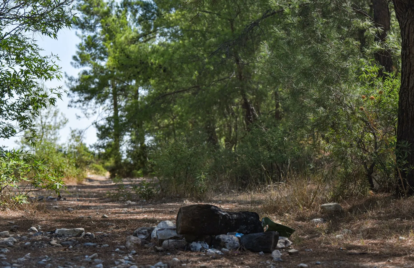 Antalya ormanlarında mangal inadı yangına davetiye çıkarıyor