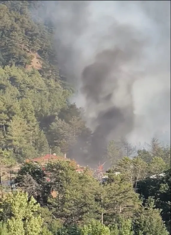Bolu Göynük ormanlarında yangın paniği