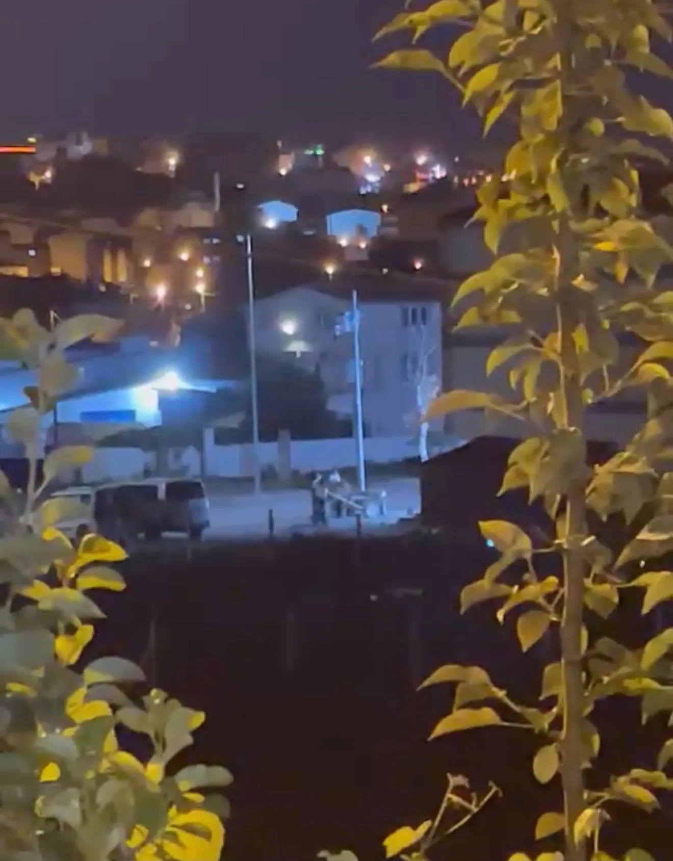 Arnavutköy'de ata işkence eden saldırgan aranıyor