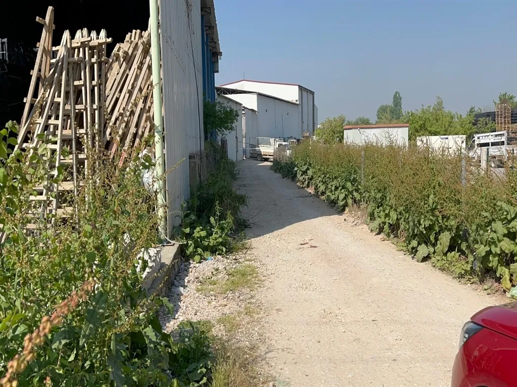 Avukat cinayetinde ağırlaştırılmış müebbet istemi