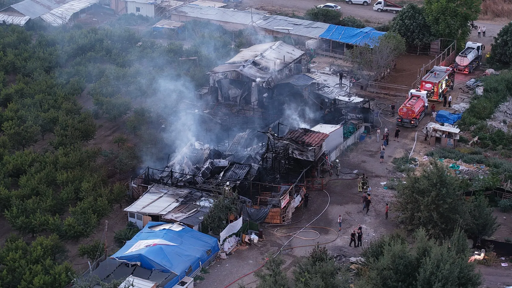 Bursa Yıldırım’da bir çiftlik alevlere teslim oldu