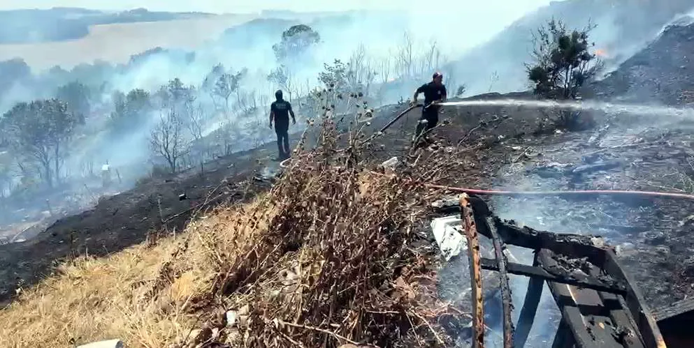 Tekirdağ'da orman yangını paniği