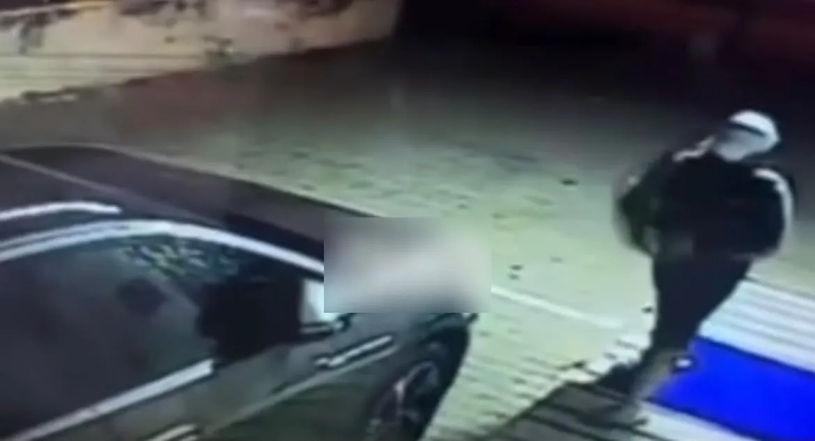 Mersin'de park halindeki araca taşlı saldırı düzenleyen kişi yakalandı