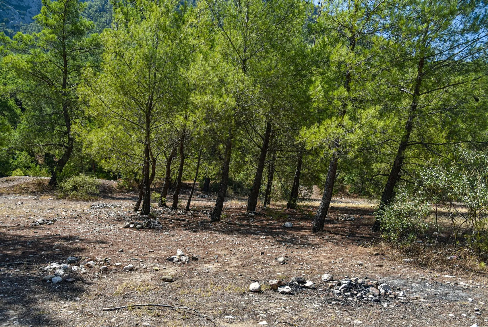 Antalya ormanlarında mangal inadı yangına davetiye çıkarıyor
