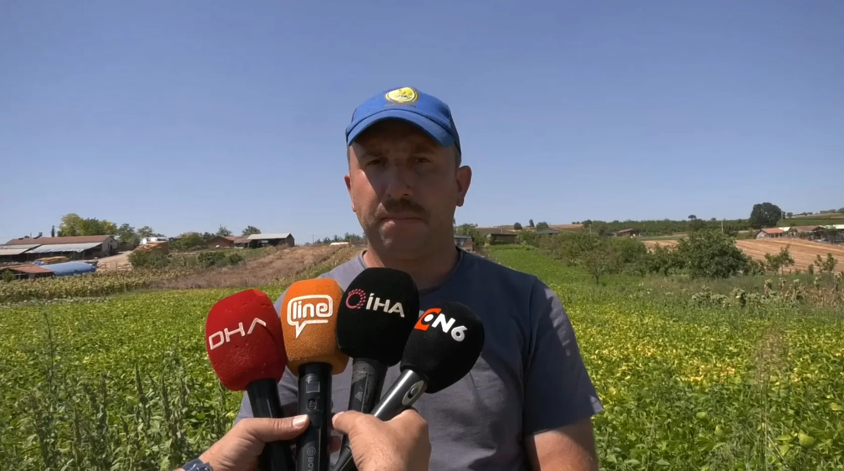 Yenişehirli çiftçinin şeker fasulyesi bereketi