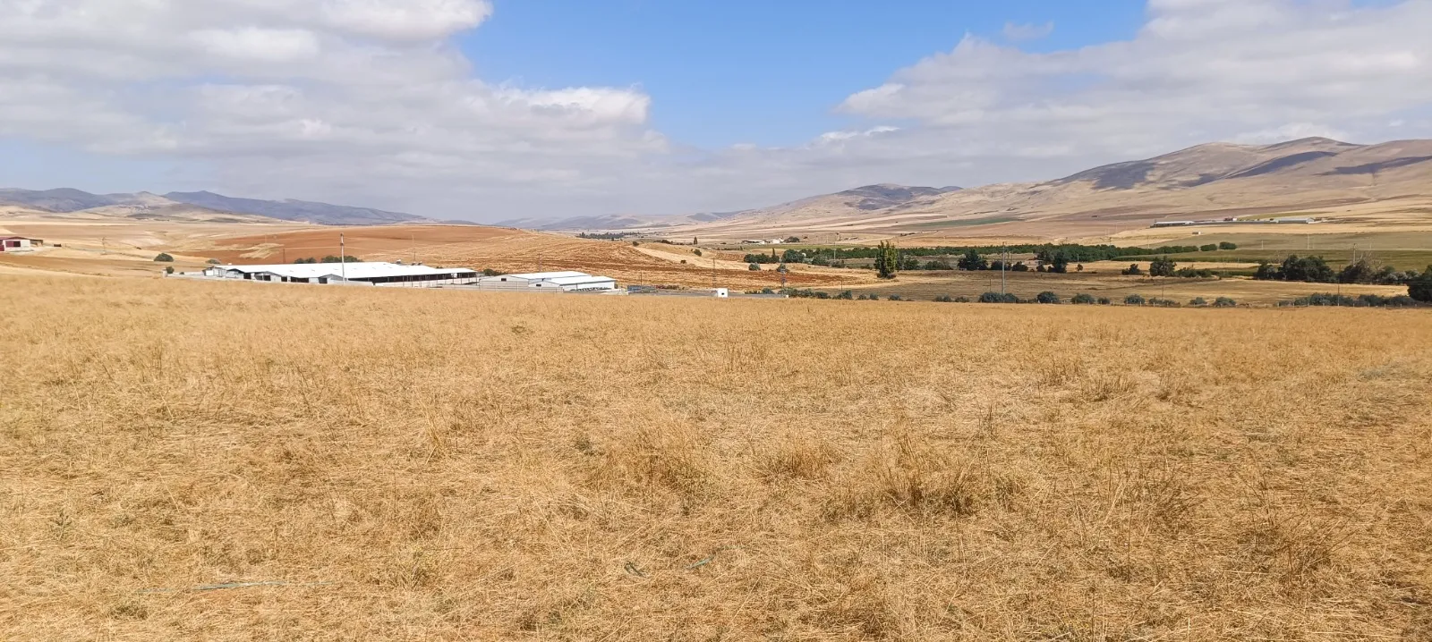 Kırşehir'de mandıra baskını yapan hırsızlar Ankara'da yakalandı