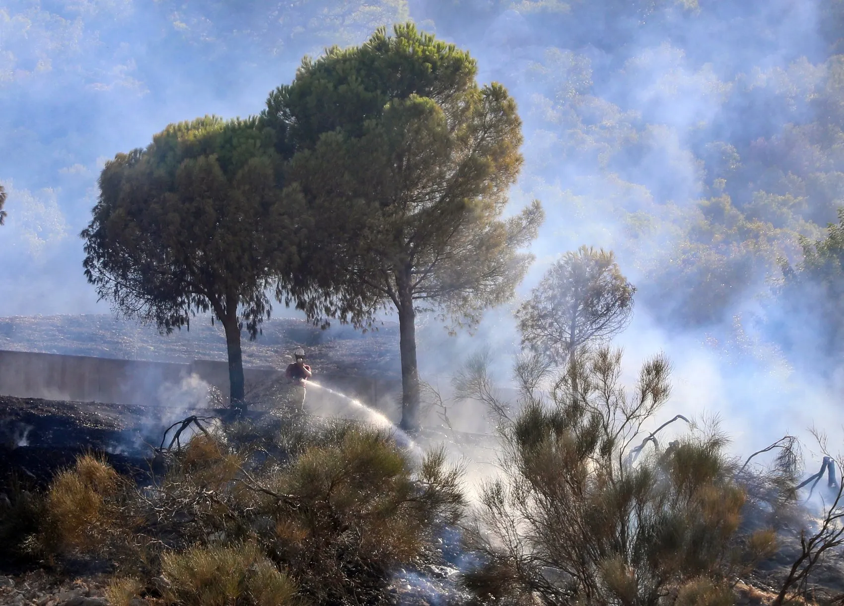 Antalya’da iki noktada orman yangını başladı