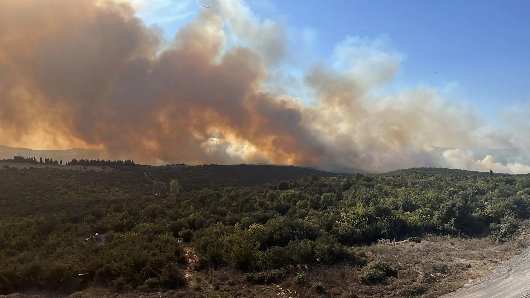Gebze'de orman yangını havadan ve karadan müdahaleyle söndürüldü