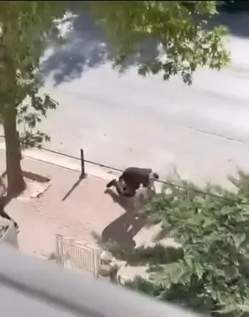 Konya’da eski husumetliye bıçaklı saldırı