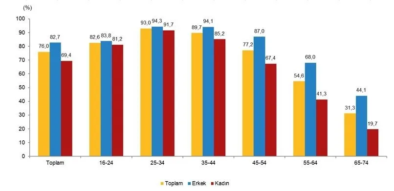 TÜİK açıkladı: Türkiye'de internet kullanımı yüzde 92,3'e ulaştı