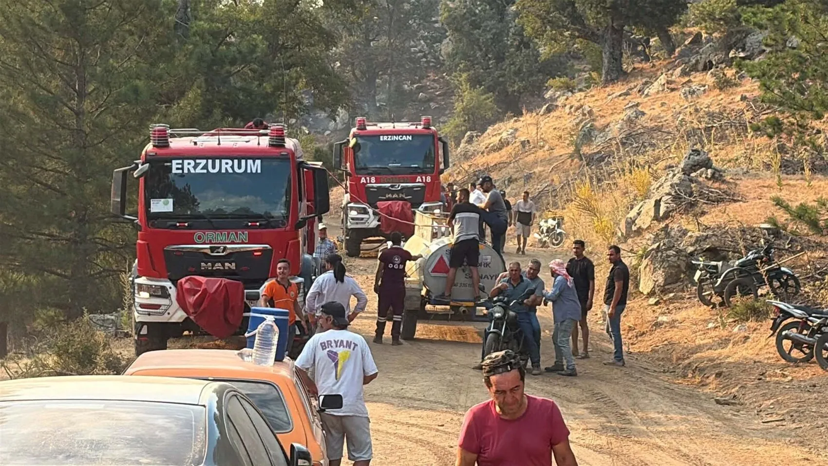 Aydın ormanlarında alevler yükseliyor