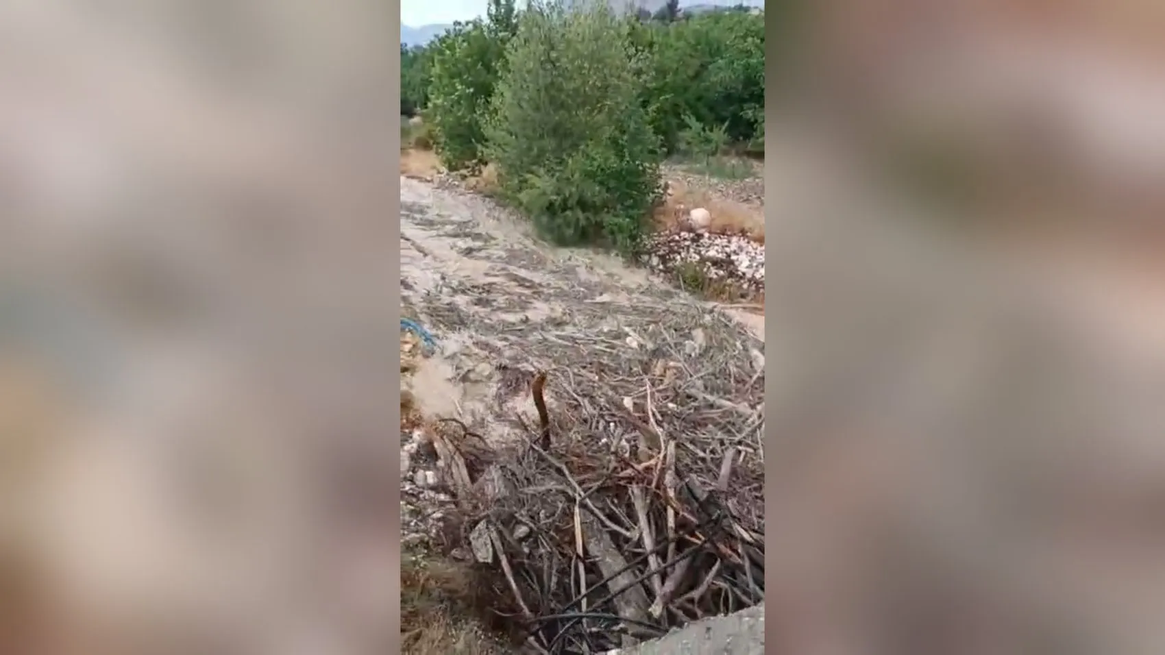 Malatya'da sel baskını Hasat döneminde kayısı bahçeleri çamur altında kaldı