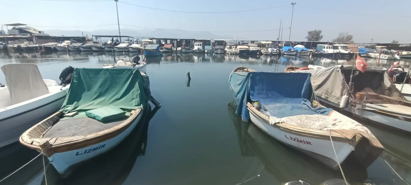 Palamut bu yıl bol ve ucuz, balıkçılar sezon için hazır