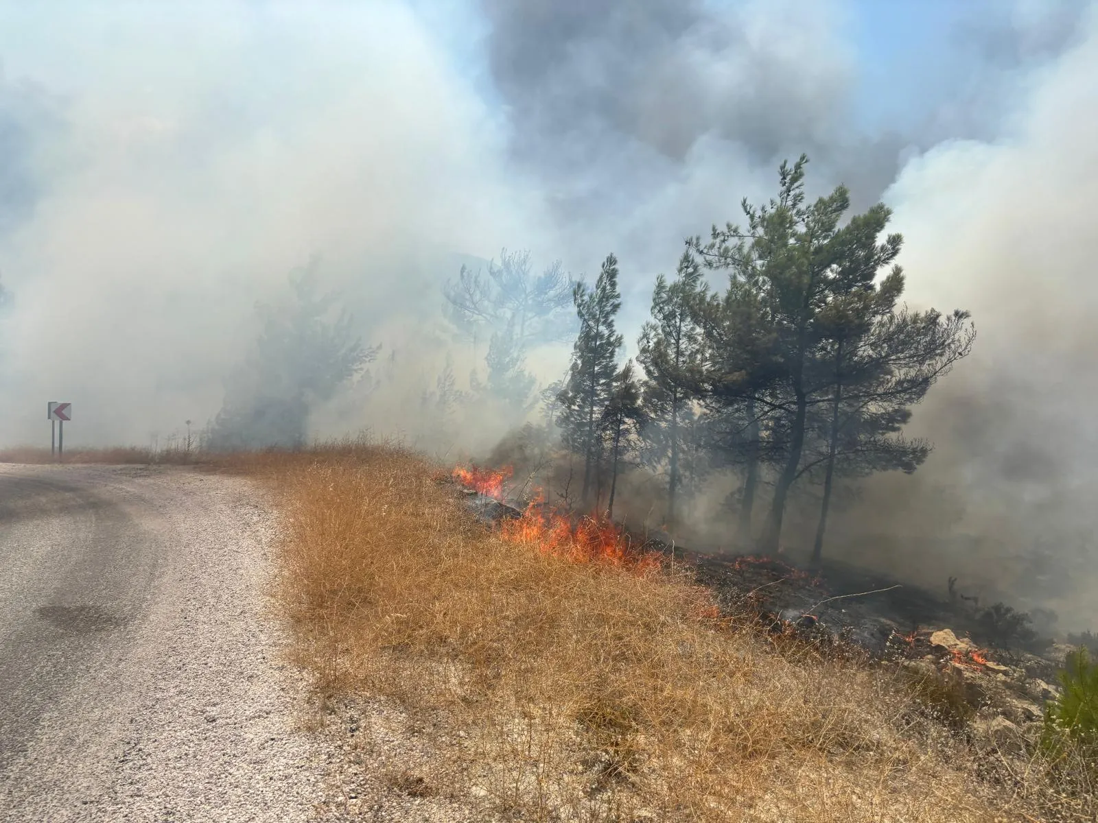 Silifke’de TIR ve kamyon çarpıştı Bir kişi hayatını kaybetti