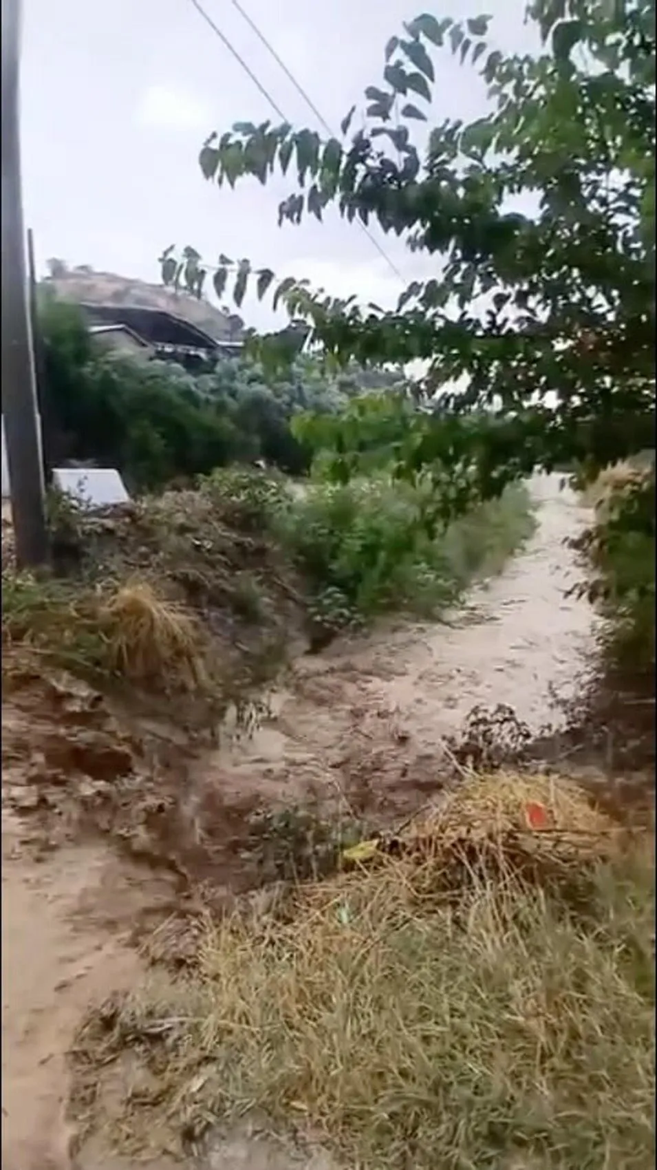 Aydın Efeler'de aniden bastıran yağmur hayatı felç etti