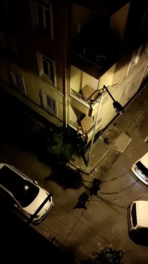 Bahçelievler'de gece yarısı balkon operasyonu Hırsızlar polisten kaçamadı