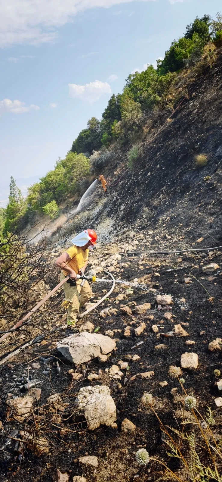 Kahramanmaraş'ta orman yangını korkuttu